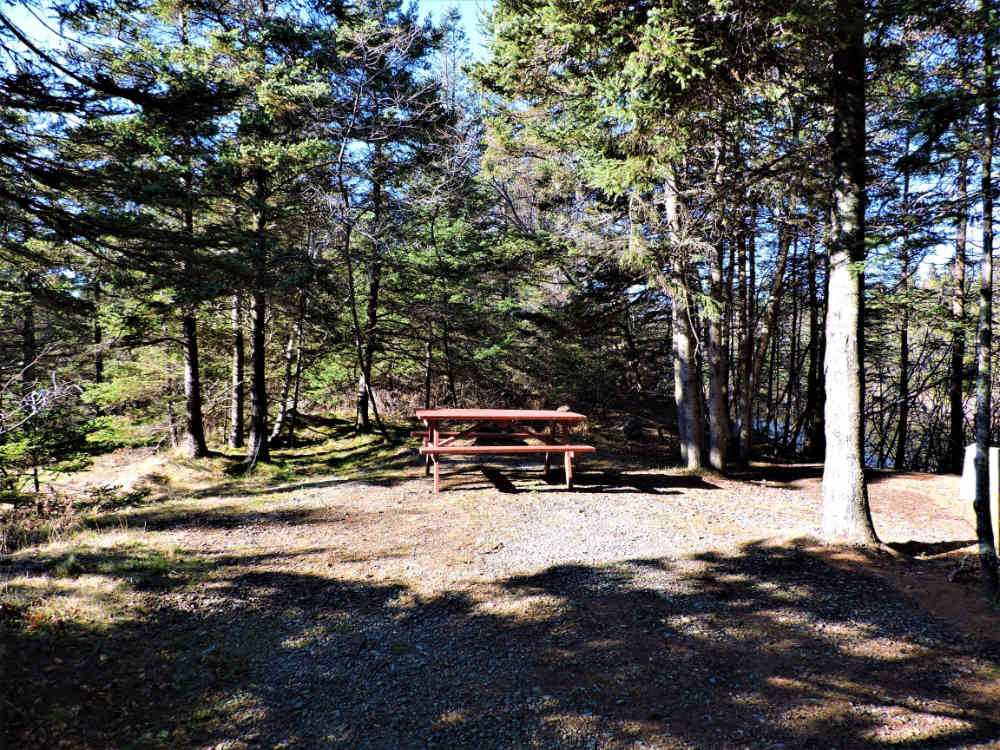 Camp site 5
